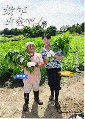 户外治愈综艺一起去露营封面
